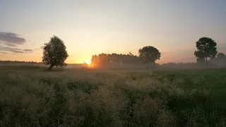 11 minutes just sound of nature for meditation meadow sunrise