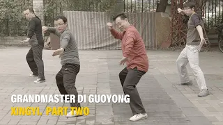 Xingyi Martial Arts by Master Di Guoyong in Beijing. Part Two