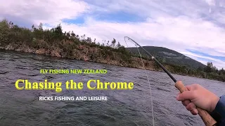 FLY FISHING CHASING THE CHROME