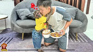 YoYo Jr is happy when Dad makes delicious food for him