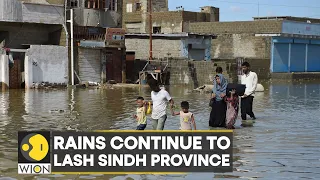 Record rainfall disrupts normalcy in Pakistan, flooding kills over 800 people | Latest World News