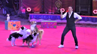 Sandro Montez - Et ses chiens - 44éme Festival International du Cirque de Monte-Carlo 2020