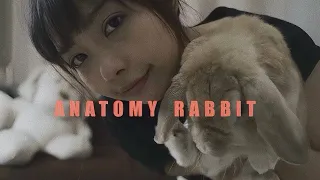 ANATOMY RABBIT - แอบหวัง | Daydreamer [ OFFICIAL MV ]