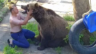 Медведь Мансур и Папа / утренние поцелуи💋Mansur the Bear and Dad / morning kisses🐻💋 06.08.2022