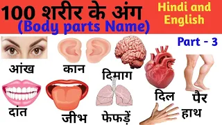 100 Body Parts Name Hindi and English with Pictures | शरीर के अंग | Body Parts Name for toddler