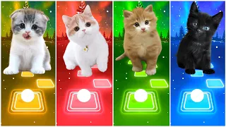 CUTE CATS - IMAGINE DRAGONS - SAVAGE LOVE - CHRISTMAS SONG -  MARSHMELLO FRIENDS- TILES HOP EDM RUSH