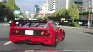 【超貴重】F40に遭遇‼︎ バチバチ音と加速音が凄まじい‼︎ F40 on the road in Tokyo