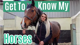 Get To Know My Horses | Facts About All Of Them | Lock Down Day 33