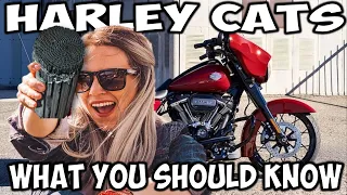 FAQ - Harley Exhaust & Catalytic Converter Removal