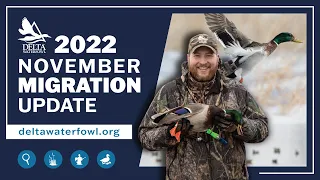 November 2022 Migration Update | Delta Waterfowl
