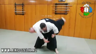 Техника Айкидо. Ката Дори Мэнучи Коси Наге.   Techniques of Aikido. Katadori Menuchi Koshinage.