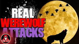 4 REAL Werewolf Attacks - Darkness Prevails