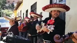 Mariachi Guadalajara de Bucaramanga -las Mañanitas