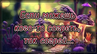 Если можешь кого-то согреть, так согрей... 💯 Поэзия для души. 💯 Потрясающие стихи.