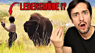 Dumme Menschen VS Gefährliche Tiere! Biologe reagiert