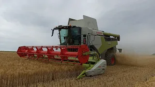 Žně, Žatva, Żniwa, Harvest 2023 Claas Lexion 6700,6600,660, Case, JCB Starojicko AS