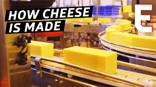 How Cheddar Cheese Is Made In a Factory — The Process