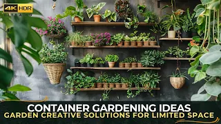 Container Gardening Ideas Creative Solutions for Limited Space