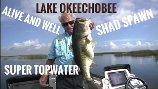 Great shad spawn and topwater on Okeechobee