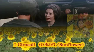 ソフィアローレン「ひまわり Sunflower  I girasoli～Love Theme～」ヘンリー　マンシーニ　Henry Mancini