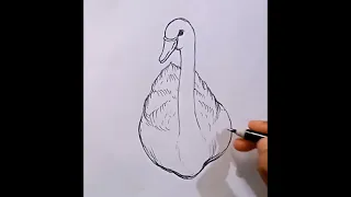 how to draw swan with pen || easy swan drawing