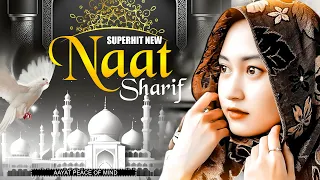 Best Naat | Superhit Naat Sharif | New Naat Sharif | 2024 Superhit New Naat Sharif | Beautiful Naat