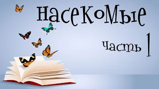 Насекомые для детей. Учим насекомых. Часть 1