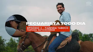 IHARA - PECUARISTA TODO DIA - EPISÓDIO 2 | Guito