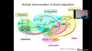 39 Blood clotting 7