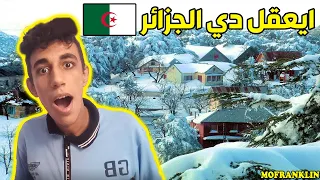 رد فعل مصري على اجمل مقطع لتساقط الثلوج في الجزائر | مش هتصدق انها الجزائر 🇩🇿🇪🇬 💙