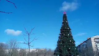 Berdyansk.Christmas tree .Gaidar boulevard.Бердянск ёлка бульвар Гайдара.