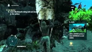 Assassin's Creed 4 Black Flag Mission - Dive for Medical