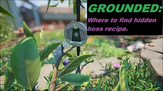 Grounded: Broodmother BLT recipe location.