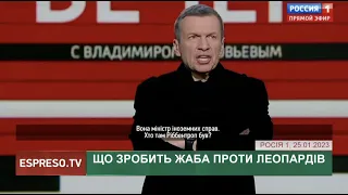 Что сделает лягушка против Леопардов | Хроники информационной войны