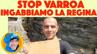 20 Apicoltura: Varroa, come costruire la gabbia per ingabbiare una regina e uso Apiscampo (2021).