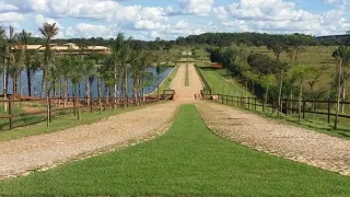 FAZENDA A VENDA NO MATO GROSSO. 1293 ALQUEIRES TOTAL. 500 ALQUEIRES DE ABERTURA EM PASTO. COM SEDE