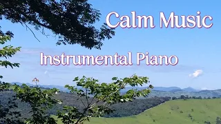 Calm Music | Instrumental Piano | 04 hours of Music to Calm and Pacify