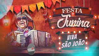 SÓ AS MELHORES DAS FESTAS JUNINAS - SAO JOAO  (PART 2)