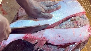Amazing Giant Bighead Fish Cutting In Bangladesh Fish Market | Fish Cutting Skills