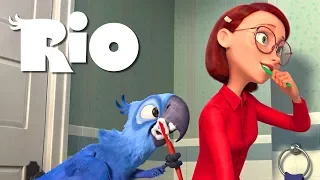 Blue and Linda's morning - RIO (1080p)
