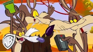 Looney Tunes en Français | Les grands moments de Vil Coyote | WB Kids