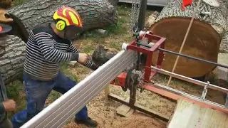 Double stihl ms 880 vs big ash log