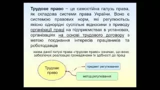 Тема 1 трудове право Костюченко О.Є.