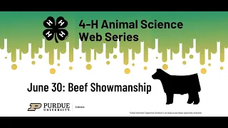 4-H Animal Science Web Series: Beef Showmanship