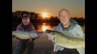 dicke Hechte und Zander in Holland/ Mega Barschangeln on Top