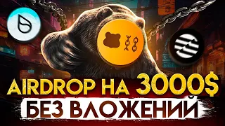 Делать Berachain не поздно! Полный гайд под Airdrop