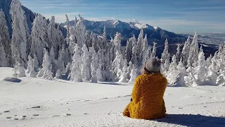 Winter Wonderland | Poiana Brasov