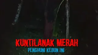 ngeri!!! pembuktian kuntilanak kakinya tidak menyentuh tanah