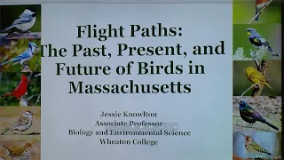 Flight Paths The Past, Present and Future of Birds in Massachusetts 05/19/2024