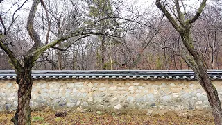 [4K] ASMR Seoul City Traditional House Hanok 1 Hour Rain Sounds & Relaxing Nature 전통 한옥의 오후 빗소리